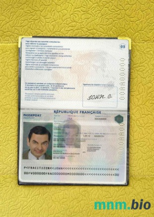 Francja zdjęcie do paszportu pliki PSD, skan i fotografowany obraz